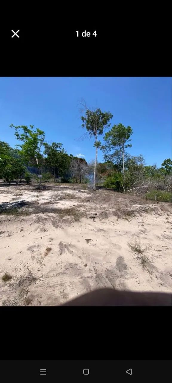 Foto - Santarém - Jardim Santarém