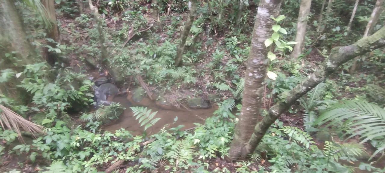 Chácara em ibiuna entrada + parcelas  - Foto 4