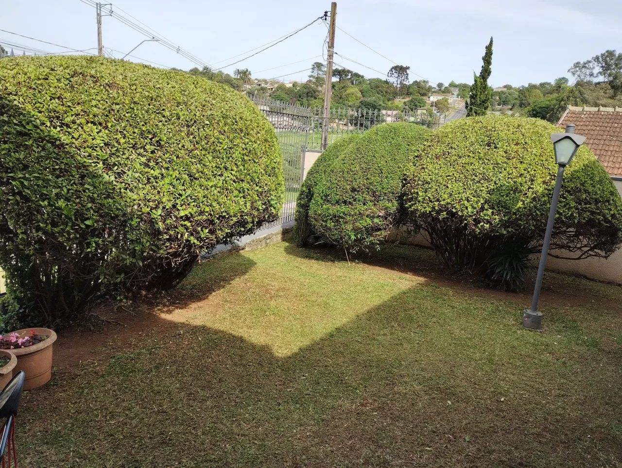  jardinagem moro em ponta grossa  - Foto 5
