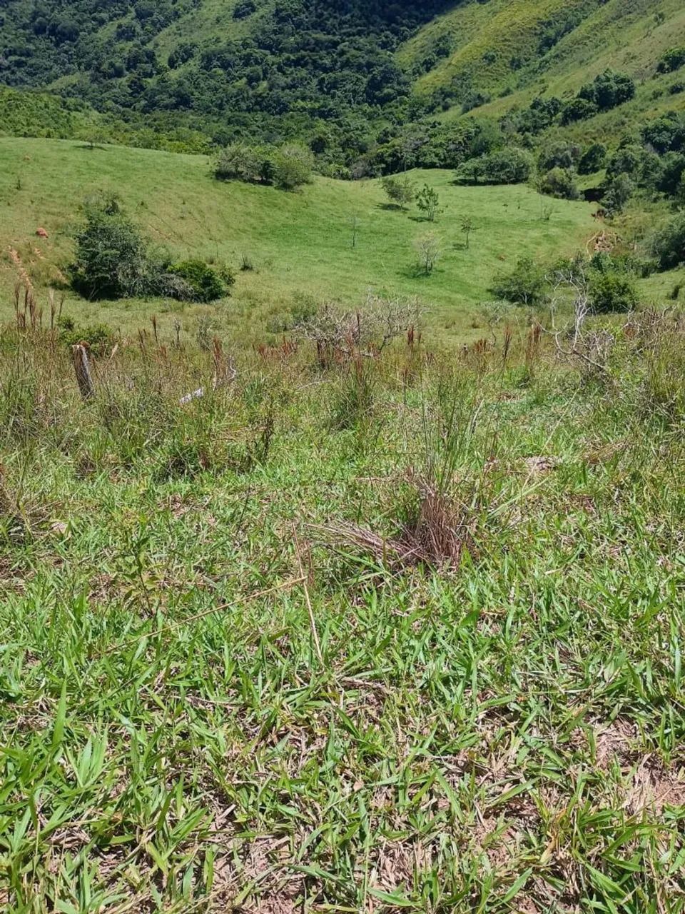 Valença - Fazenda com 93 alqueires  - Foto 5