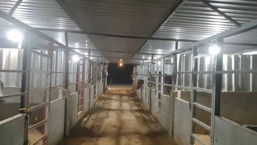 SÍTIO!!! SANTA LEOPOLDINA - Foto 4