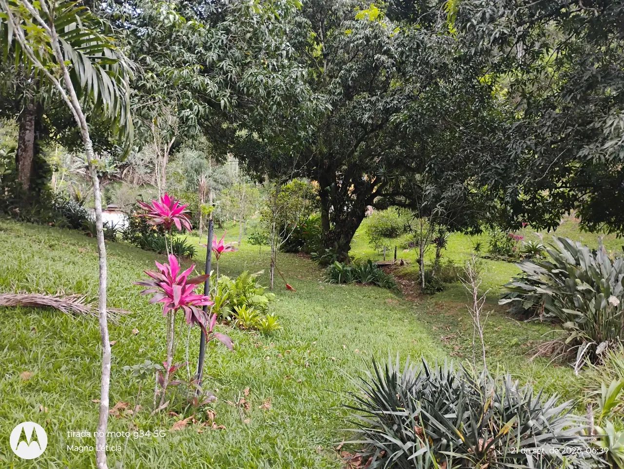 Sitio a venda  - Foto 2