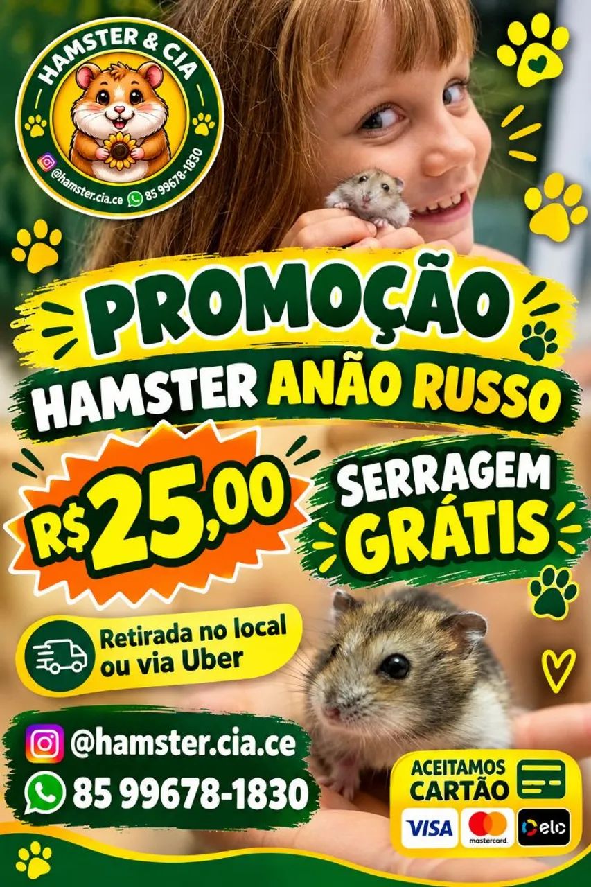 Hamster anão russo