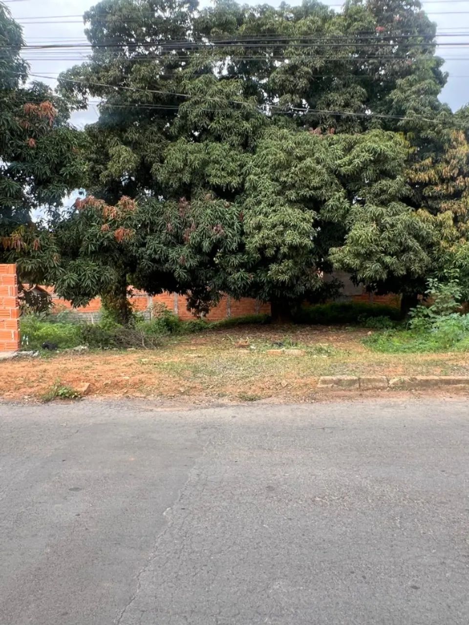 LOTE 250m² - Foto 4
