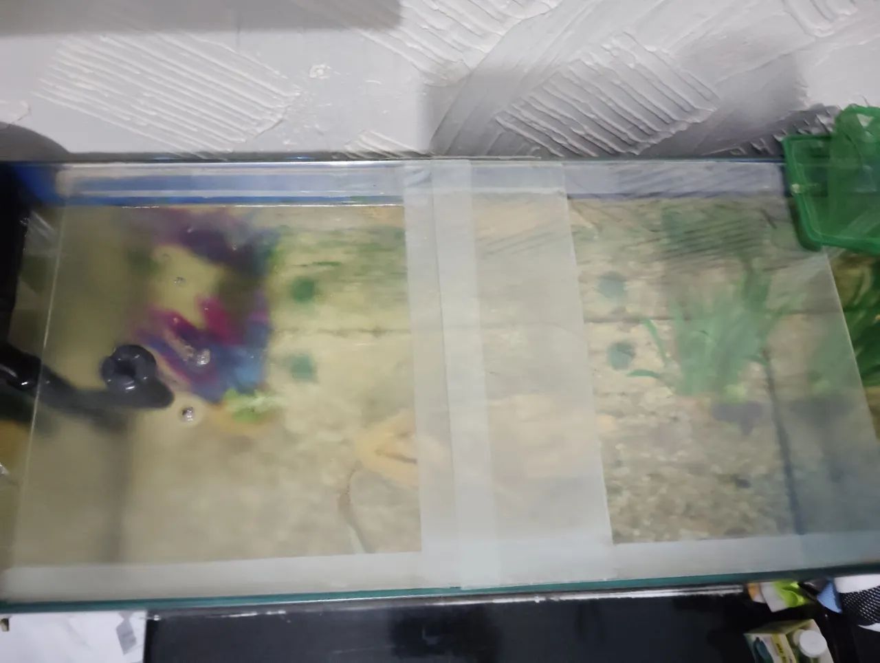 Aquário de vidro medindo 60x40x25 em ótimo estado! - Foto 3