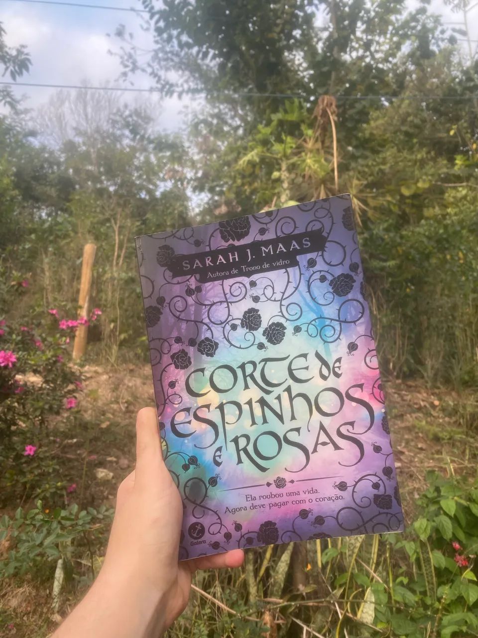 Corte de espinhos e rosas - Foto 2