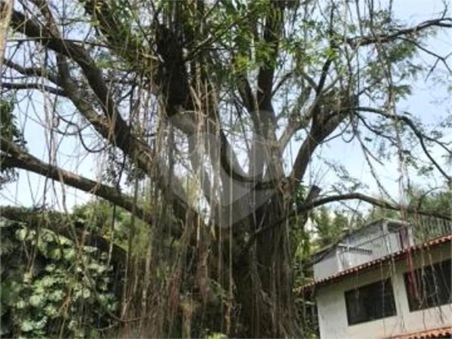 Terreno à venda em Morumbi - SP - Foto 4