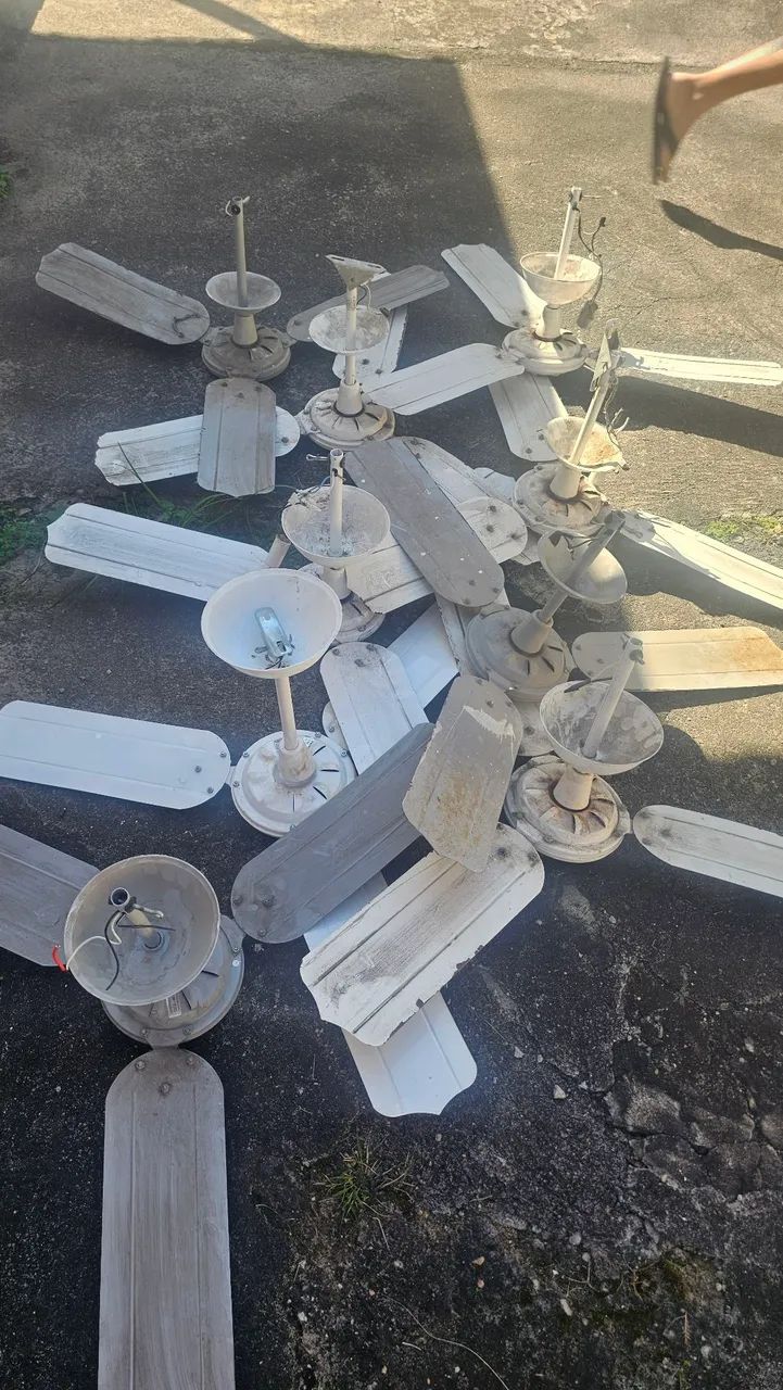 Ventilador de teto
