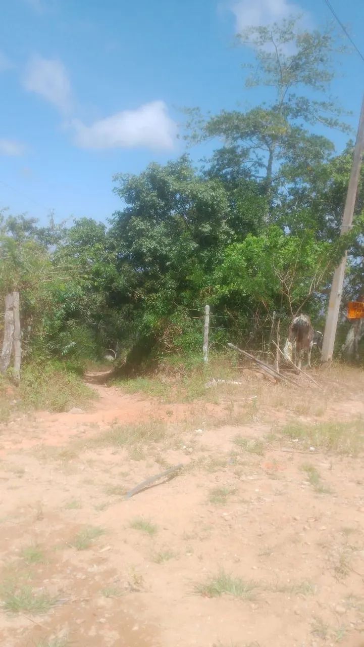 Terreno na Linha da Serra 