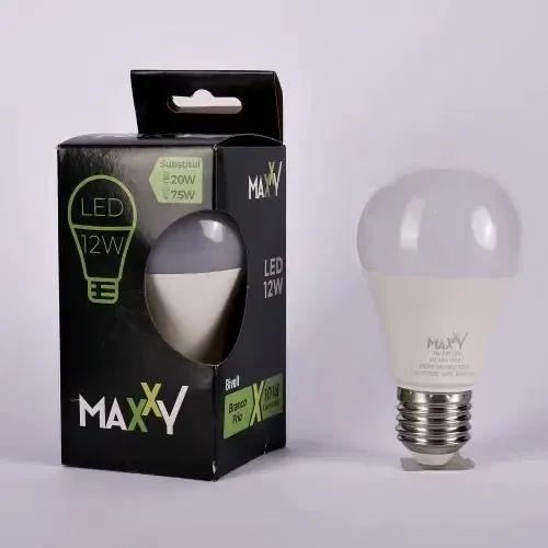 LÂMPADA 12W MAXXY