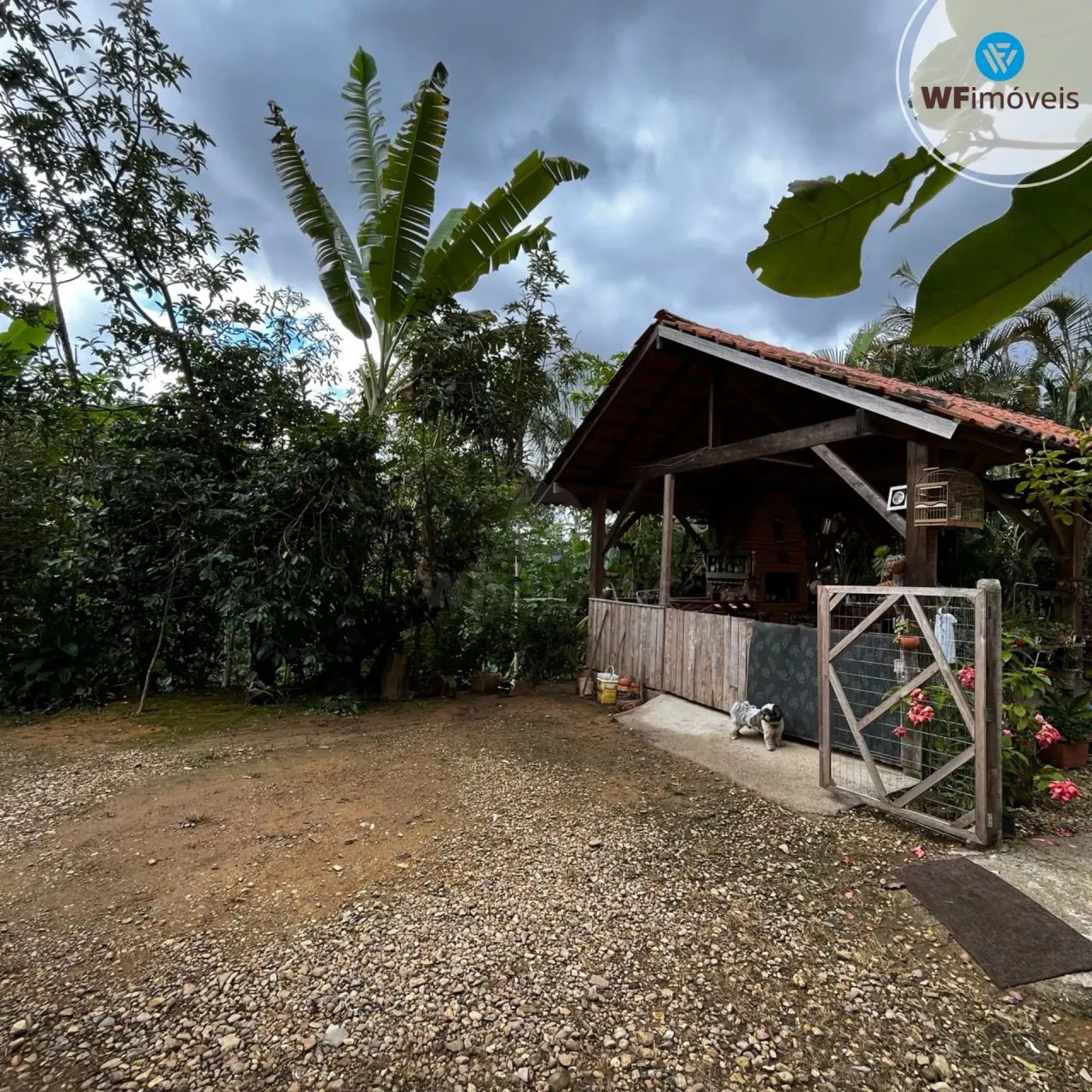 Lindo Sítio com 3 dormitórios disponível para venda. - Foto 5