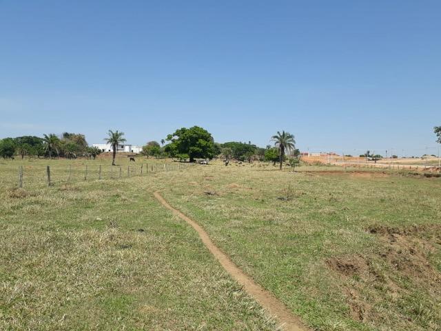 Terreno São Luis Montes Belos - Foto 2