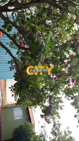 Chacara jardim ouro verde - Foto 11
