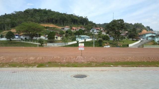 Terreno plano no bairro Limeira! - Foto 7