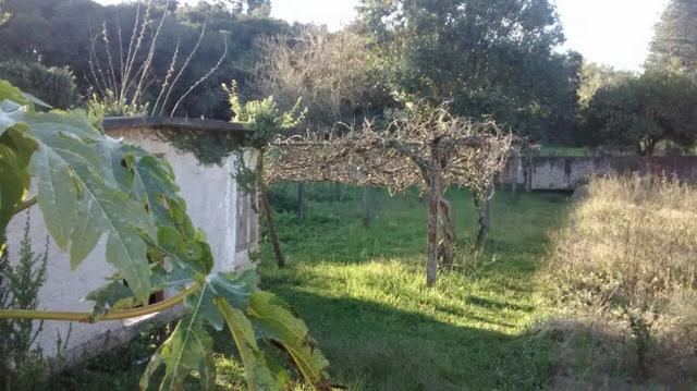 Chácara com 15.400 m² Campo Largo da Roseira - Foto 11