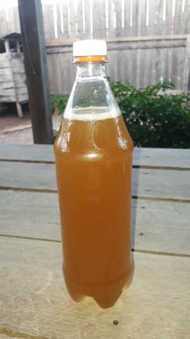 Copaiba