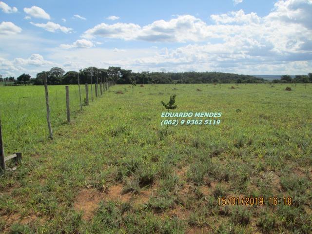 Terra c/ um alqueire sem benfeitorias, 600 metros da BR 060 Abadiânia, expansão Urbana - Foto 6