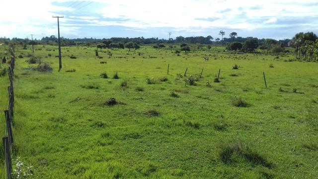 Vendo Fazenda em São João da baliza - Foto 4