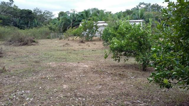Pesqueiro em barão de melgaço 6 hectares - Foto 8