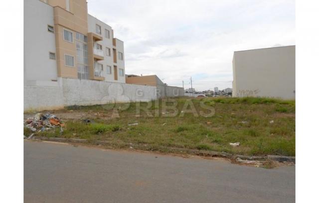 Terreno residencial à venda, cidade industrial, curitiba - te0196. - Foto 3
