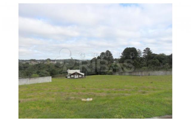 Terreno residencial à venda, vila torres i, campo largo - te0117. - Foto 13
