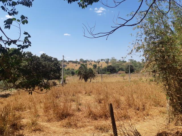 Meio Alqueire em Goiânia Prox a Teresópolis com Casa e Energia e Muita Água - Foto 6