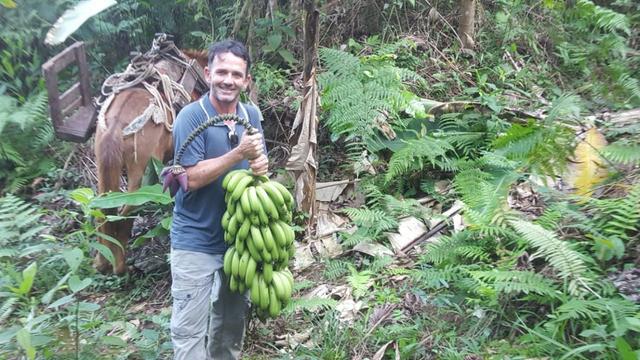 Sítio de 14 alqueires ou 68.320 hectares em Silva Jardim RJ - Foto 10