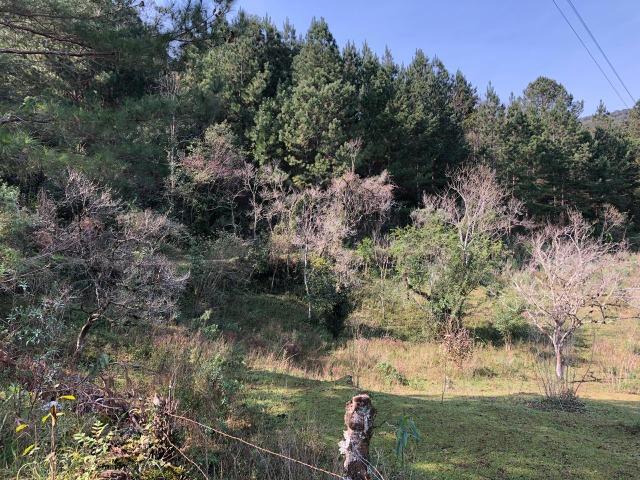 Área - Foto 4
