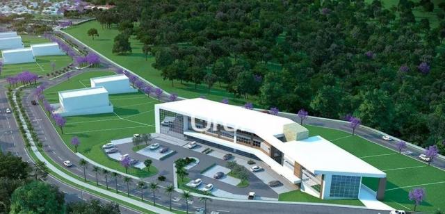 Terreno à venda, 722 m² por R$ 398.000,00 - Residencial Marília - Senador Canedo/GO