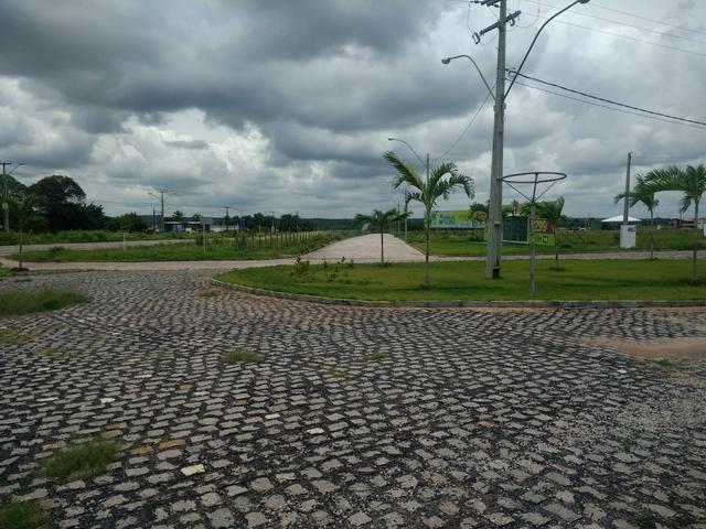 Loteamento bosque das andorinhas BR 406 são Gonçalo do Amarante RN - Foto 2