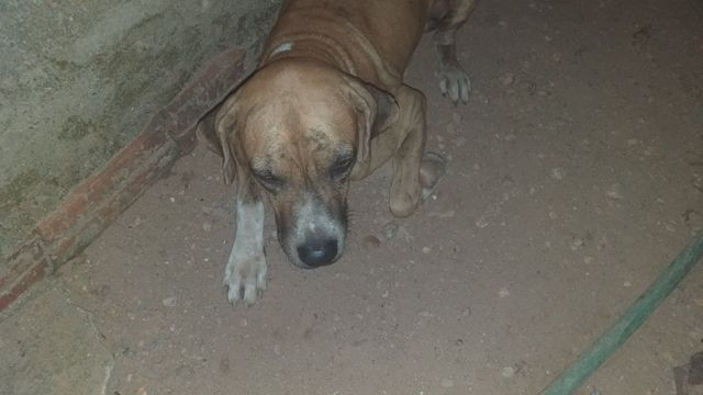 Doações - Foto 2