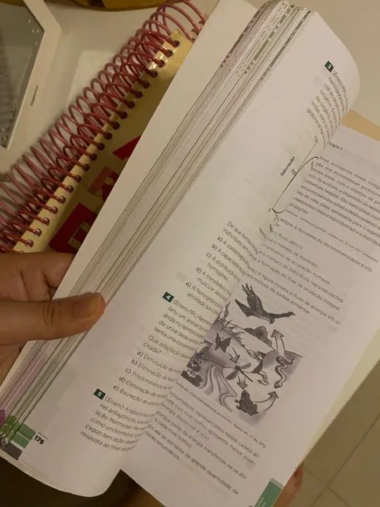 Apostila - Anglo Revisão ENEM - Foto 4