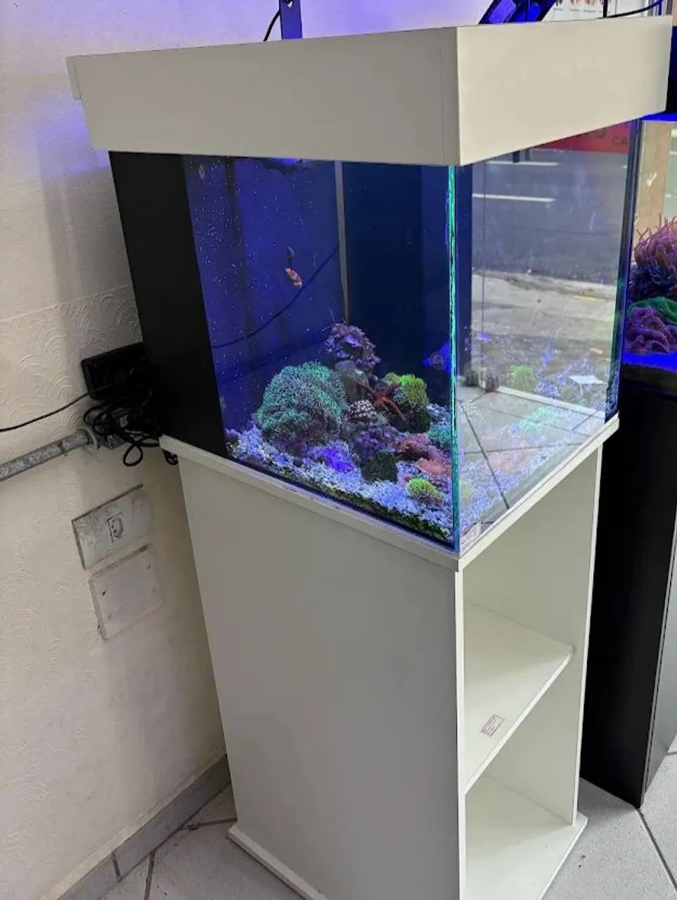 Aquário marinho com móvel  - Foto 2