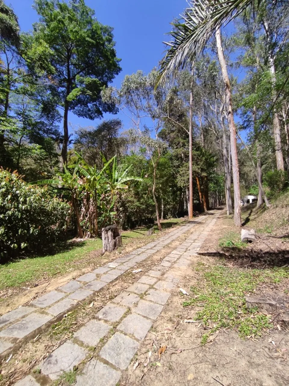 Vendo 242 mil m2 este lindo sítio em Mendes