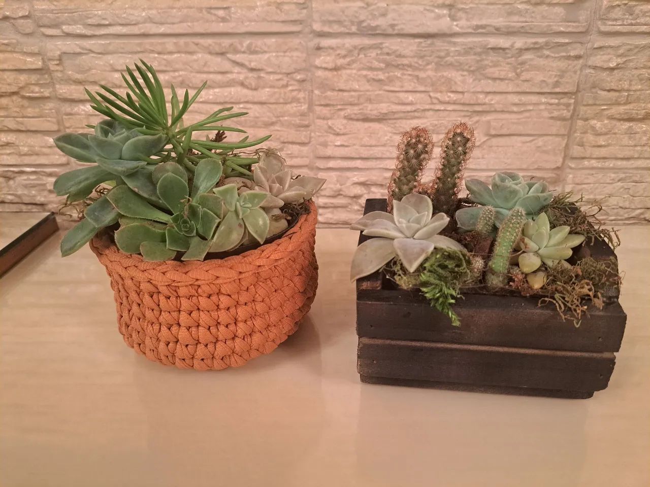 Arranjos de Suculentas em Vasos Decorativos - Foto 2