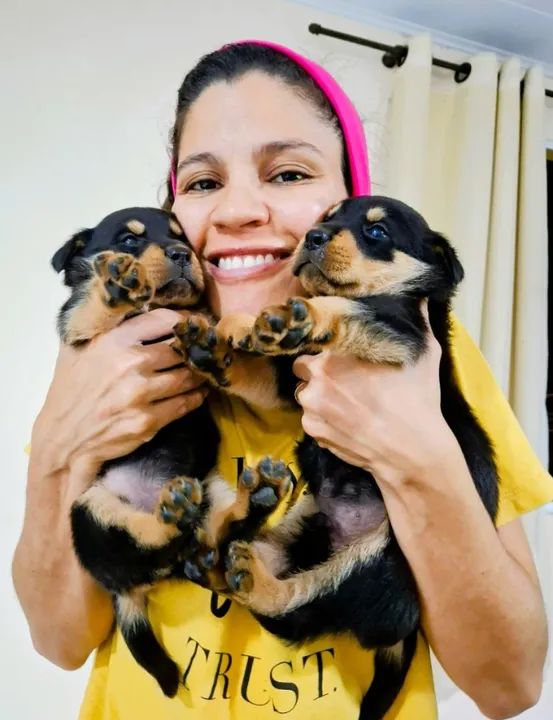 Filhotes de Rotweiller duas fêmeas disponíveis - Foto 4