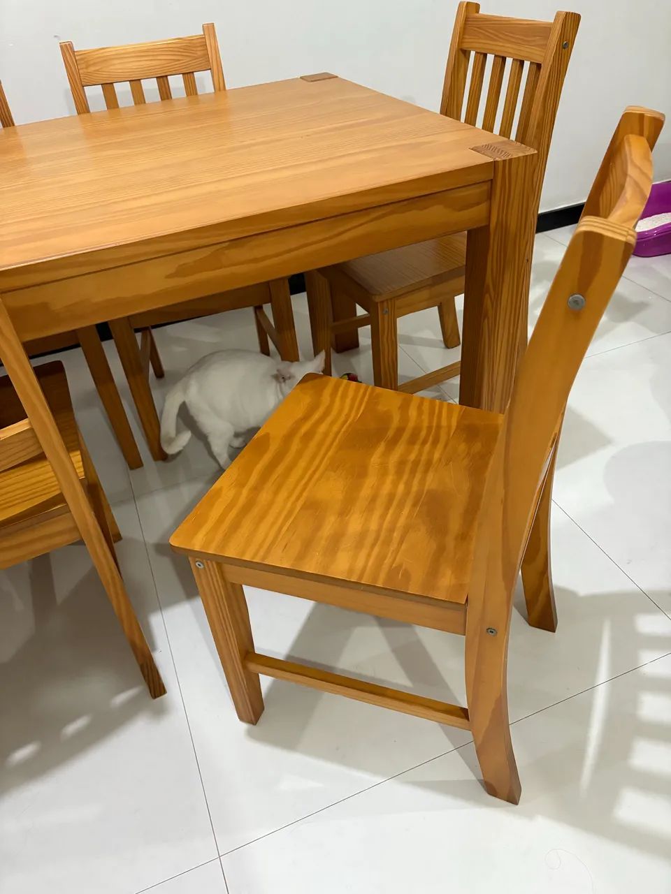 Mesa com Cadeiras64352682159235121