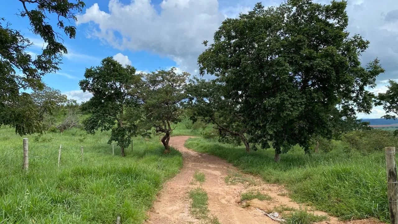 20mil mt em Bela Vista 70km de Goiânia ! - Foto 4