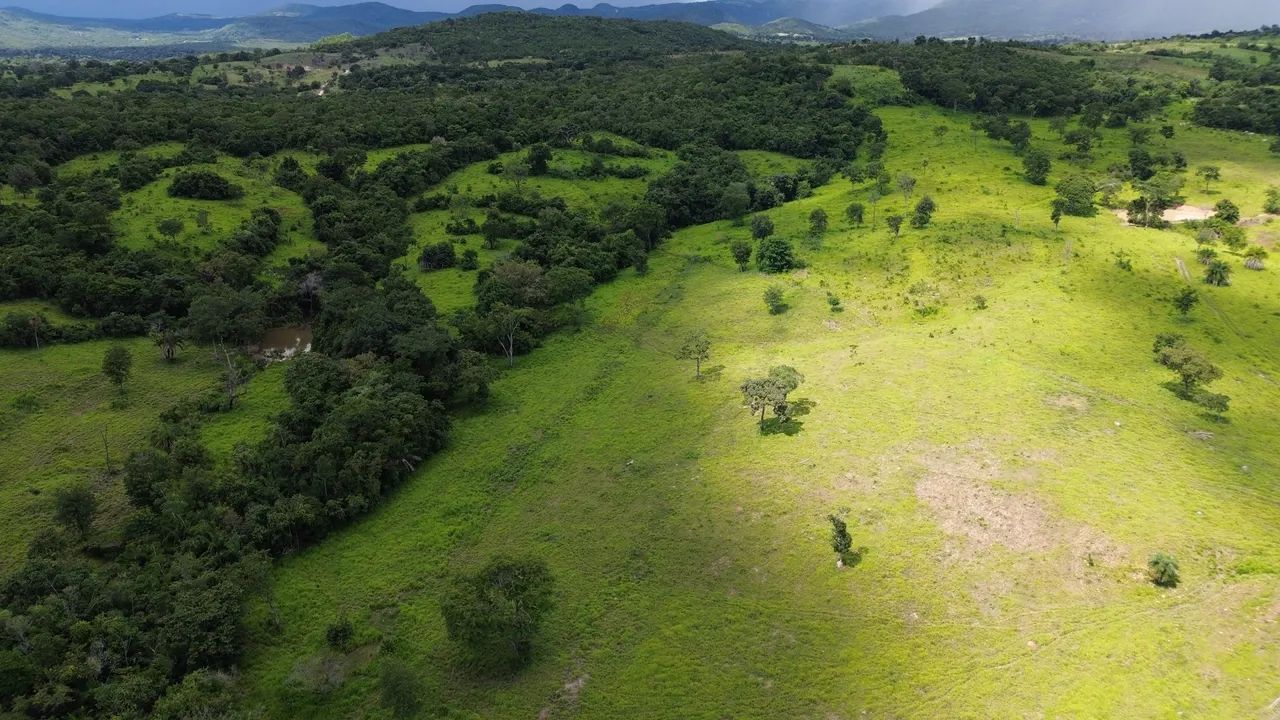 Vendo Fazenda  - Foto 4