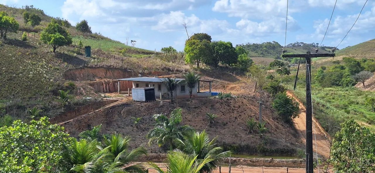 Sítio com casa em área verde