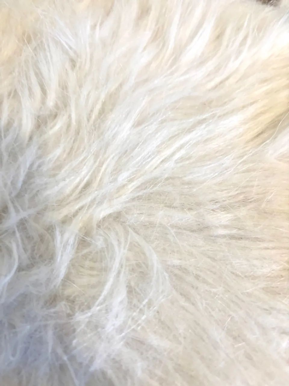 Banqueta Pelúcia Branca Moderna64739861246338121