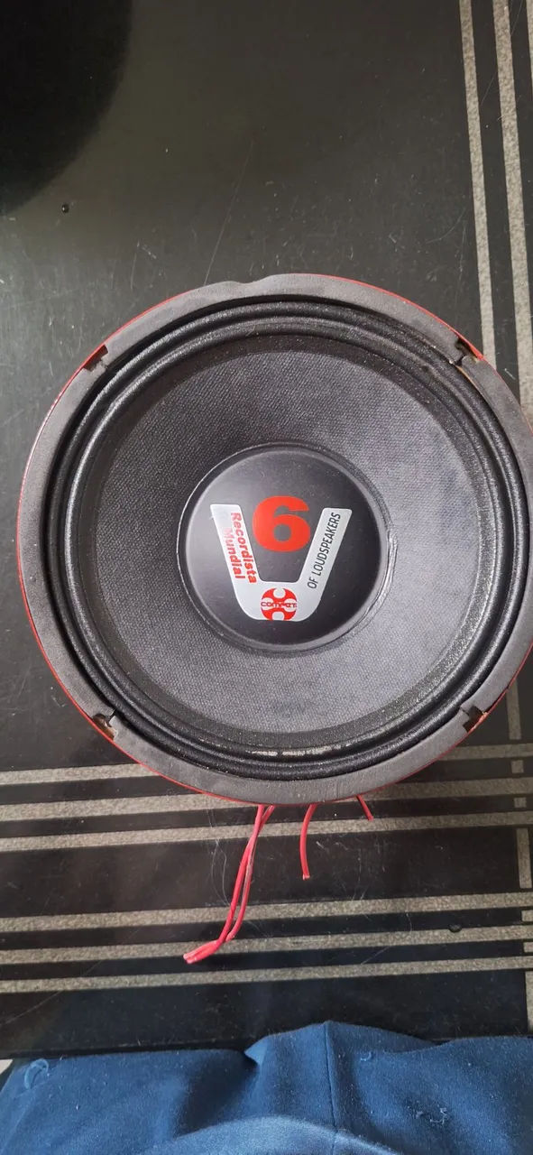 Alto-falante 6 Pol 300W RMS 4 Ohms médio grave