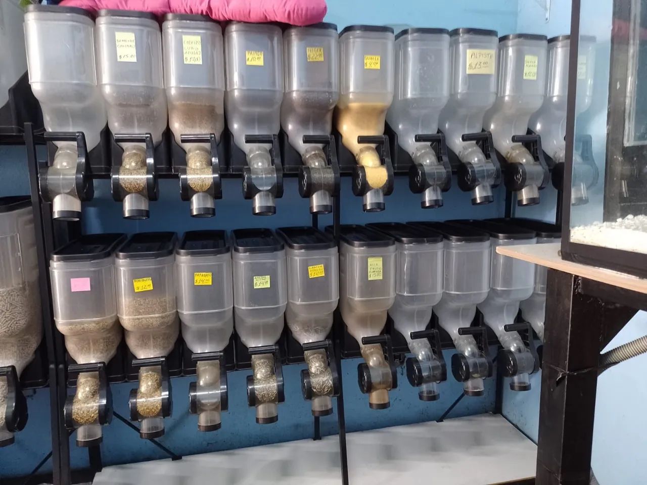 Dispenser de Ração e Sementes para caes gato e passaros Pássaros