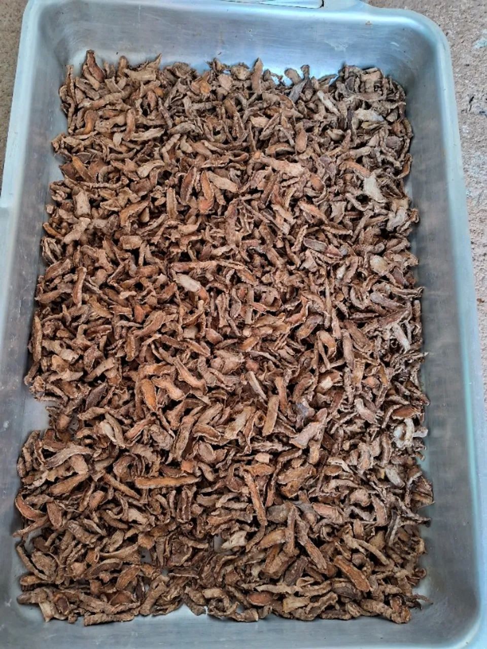 Açafrão  - Foto 5