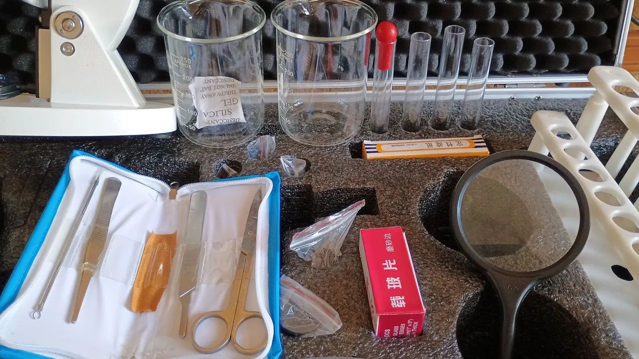 Kit de Microscópio Completo - Laboratório Portátil 64993724906498125