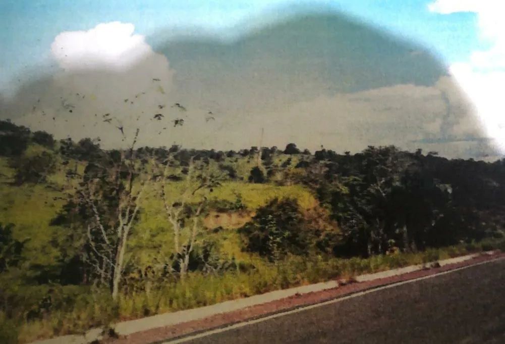 //Terreno com 270 hectares na BR 174 - Foto 3
