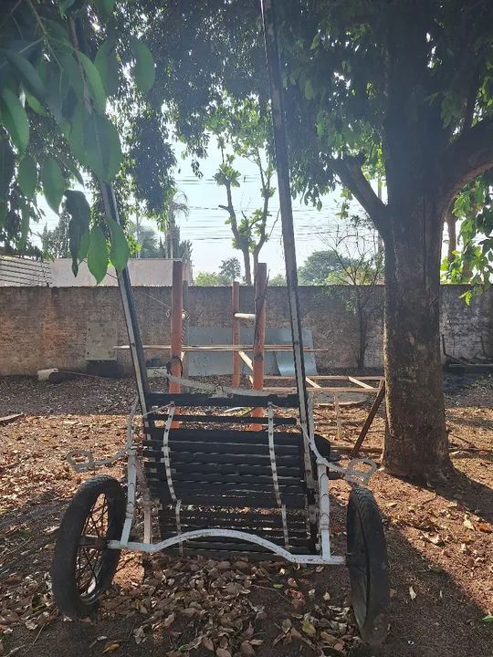 Charrete aro 21 - Foto 2