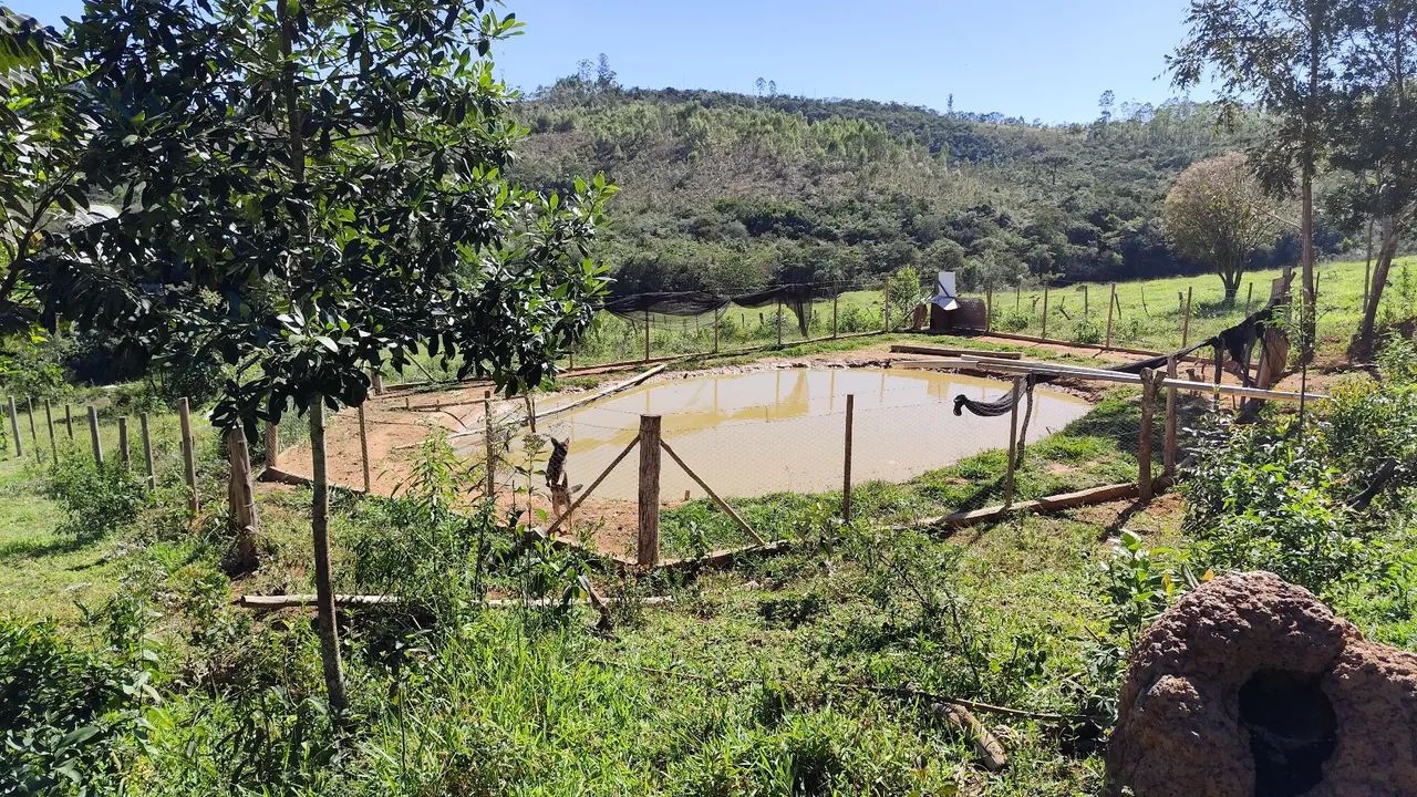 Terreno 5000 mts2 Desterro de Entre Rios/Piedade Gerais - Foto 3
