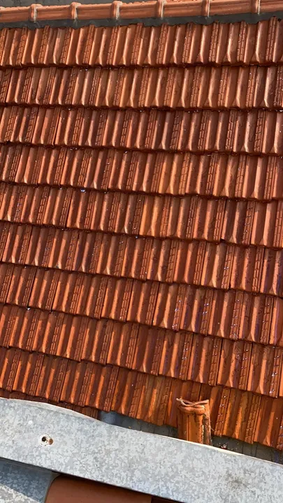 Lavamos e pintamos telhados e reparos em geral