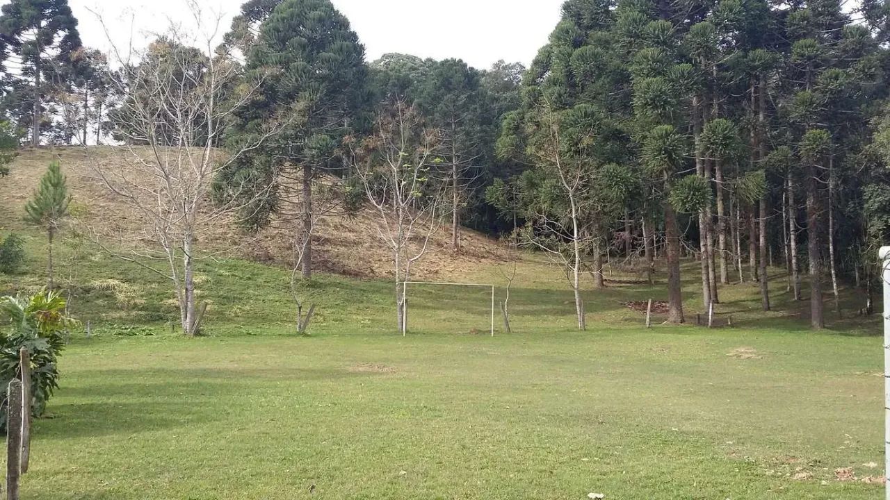 Chácara em Rua Boi Carreiro - Itaqui de Cima - Campo Largo/PR - Foto 6